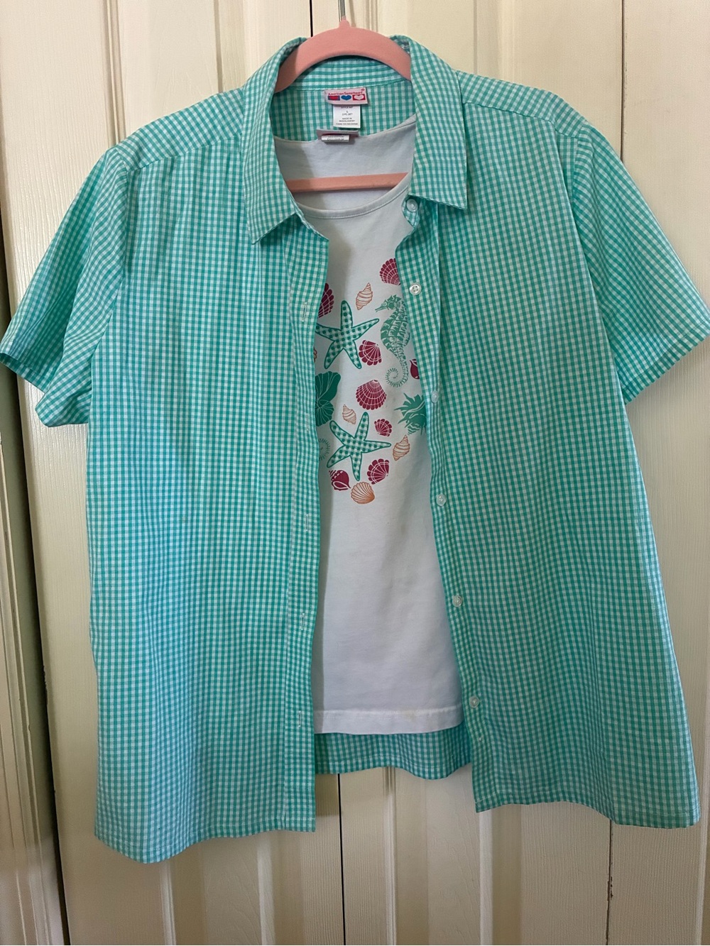 Unbranded Aqua Gingham Short-Sleeve Button-Down Shirt